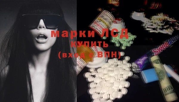 ГАЛЛЮЦИНОГЕННЫЕ ГРИБЫ Баксан