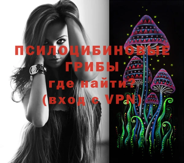 ГАЛЛЮЦИНОГЕННЫЕ ГРИБЫ Баксан