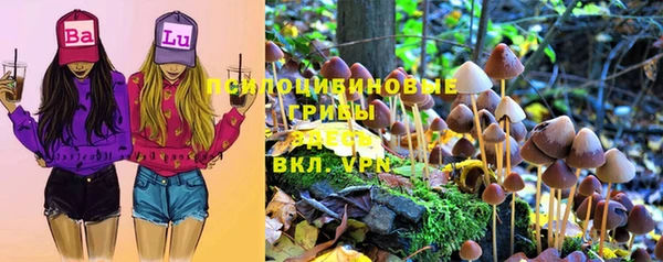 амф Балахна