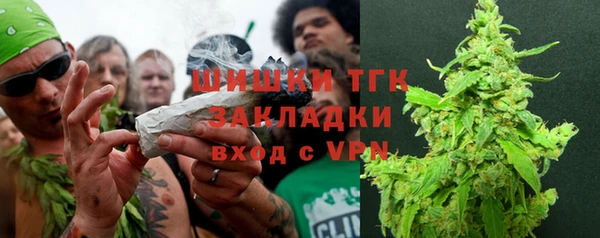 ГАЛЛЮЦИНОГЕННЫЕ ГРИБЫ Баксан