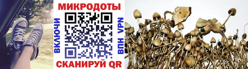 Галлюциногенные грибы GOLDEN TEACHER  Купить где  Судогда 